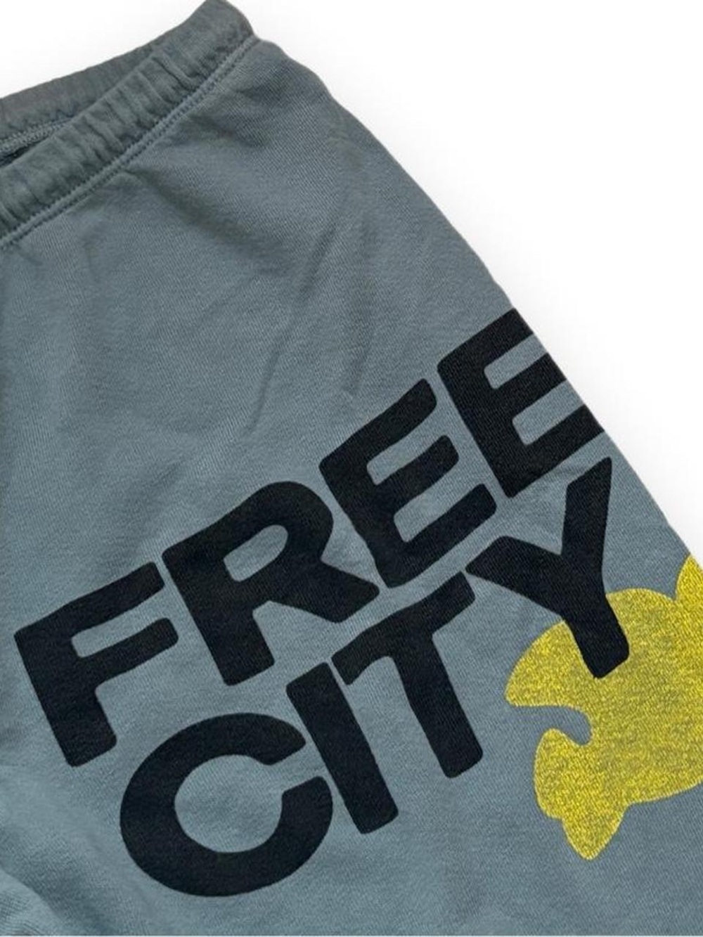 Free City sweatpants in sage green
